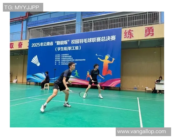 广州羽毛球队配合问题引发热议球迷与专家各抒己见