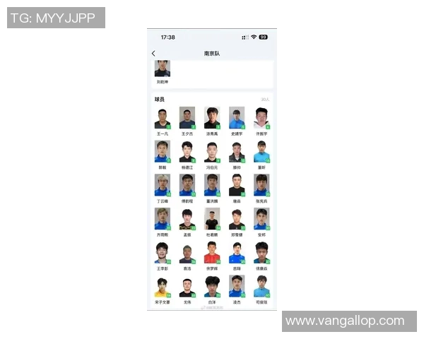 南京足球队在最新足球状态排行榜中荣登第七名展现出强劲实力与潜力